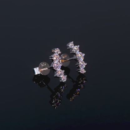 Quintet Assemblage